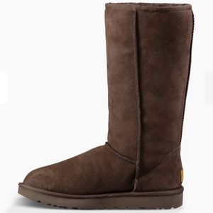 Tall Brown Uggs-Brand New